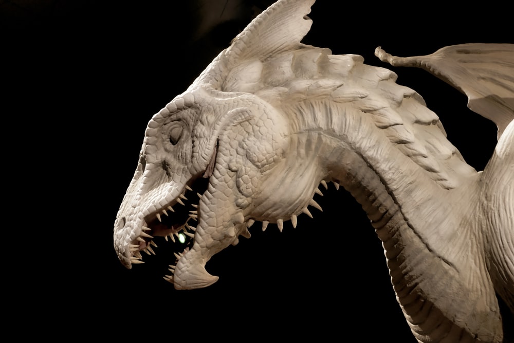 Detail Image Of A Dragon Nomer 22