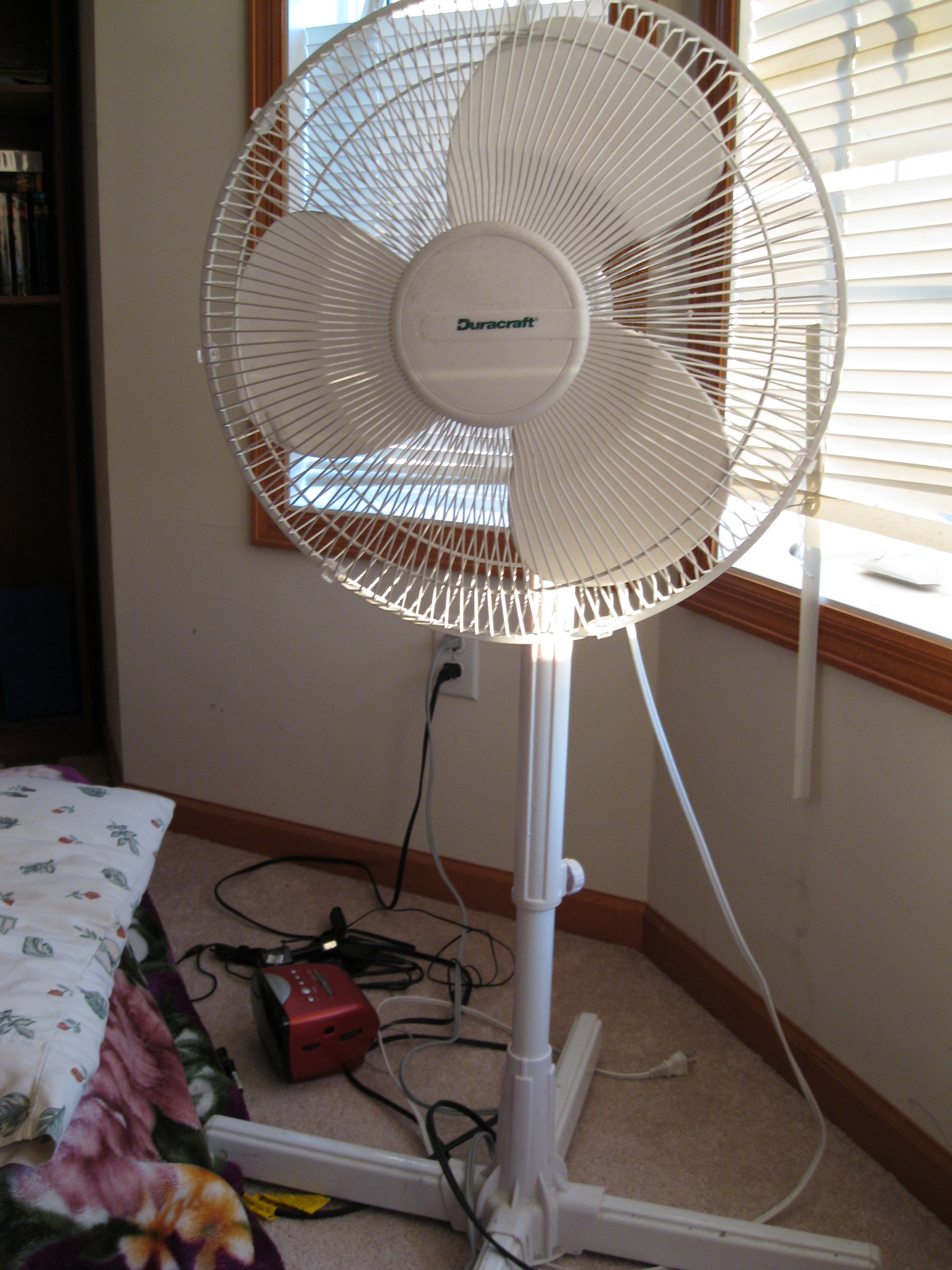 Image Of A Fan - KibrisPDR