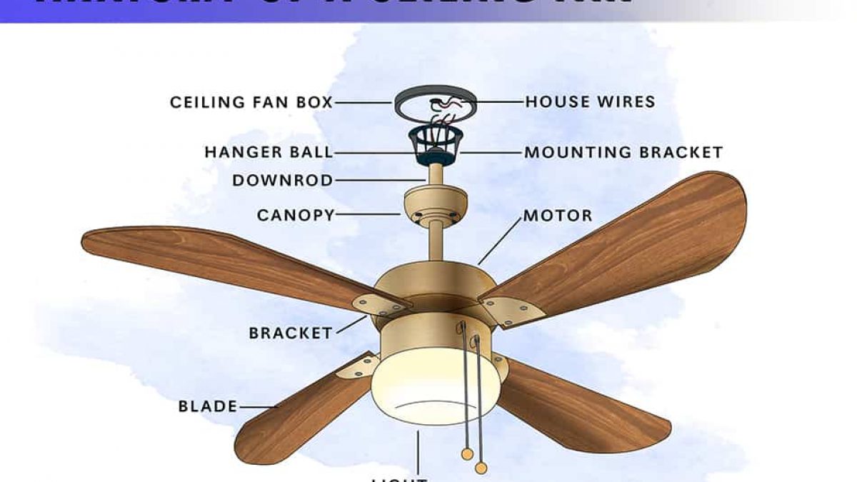 Detail Image Of A Fan Nomer 11