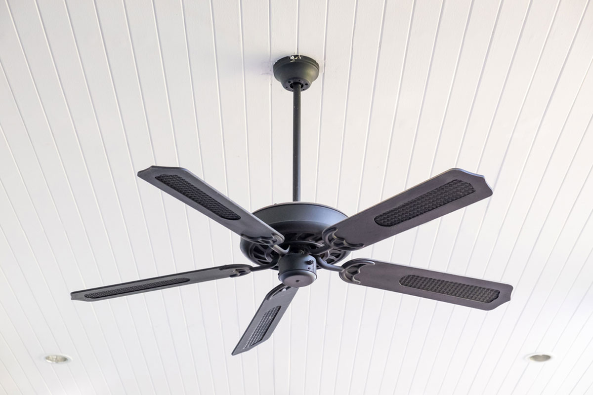 Detail Image Of A Fan Nomer 22
