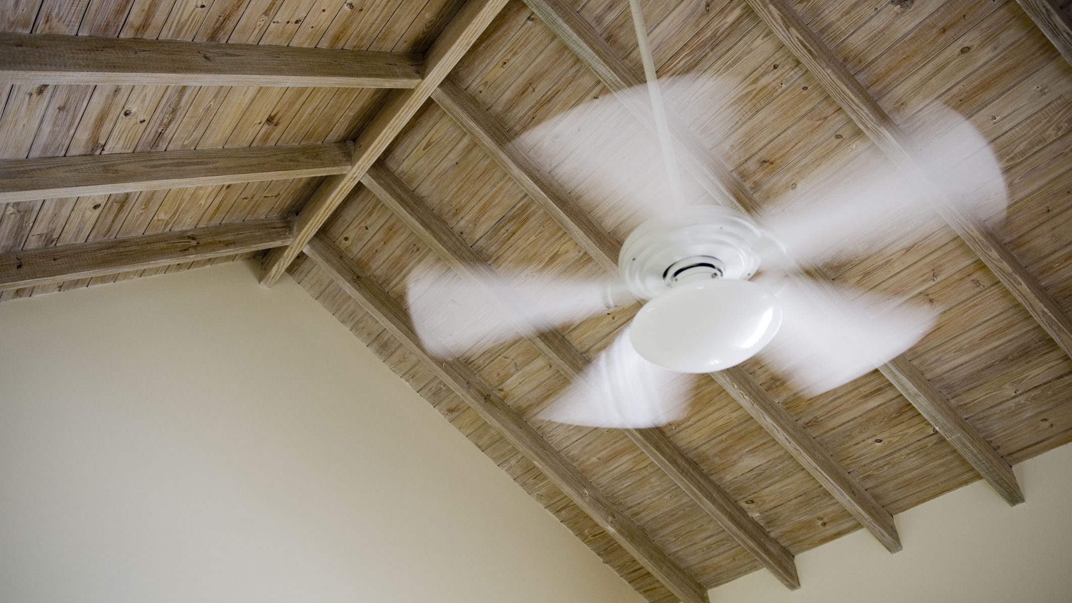 Detail Image Of A Fan Nomer 10