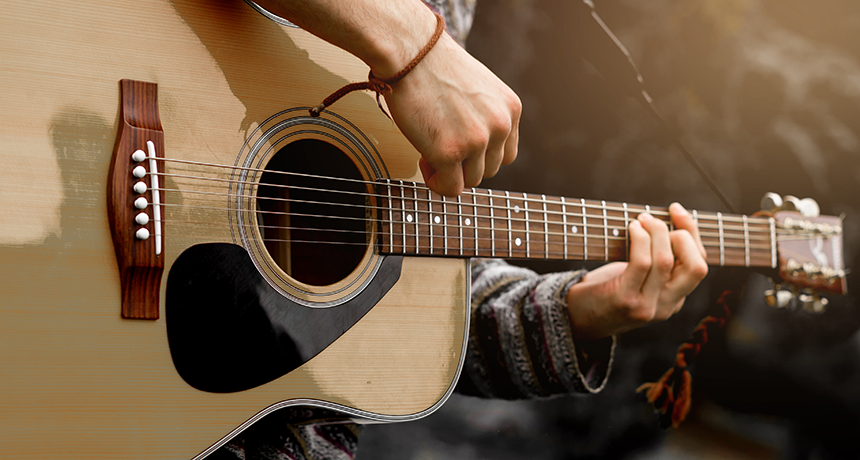 Detail Image Of A Guitar Nomer 19