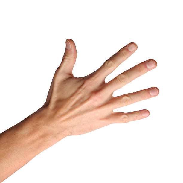 Image Of A Hand - KibrisPDR