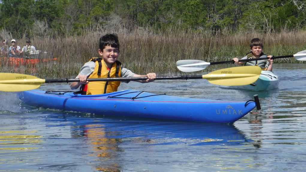 Detail Image Of A Kayak Nomer 29