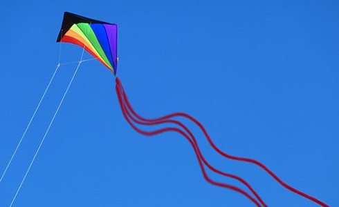 Detail Image Of A Kite Nomer 12