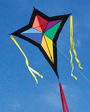 Detail Image Of A Kite Nomer 13