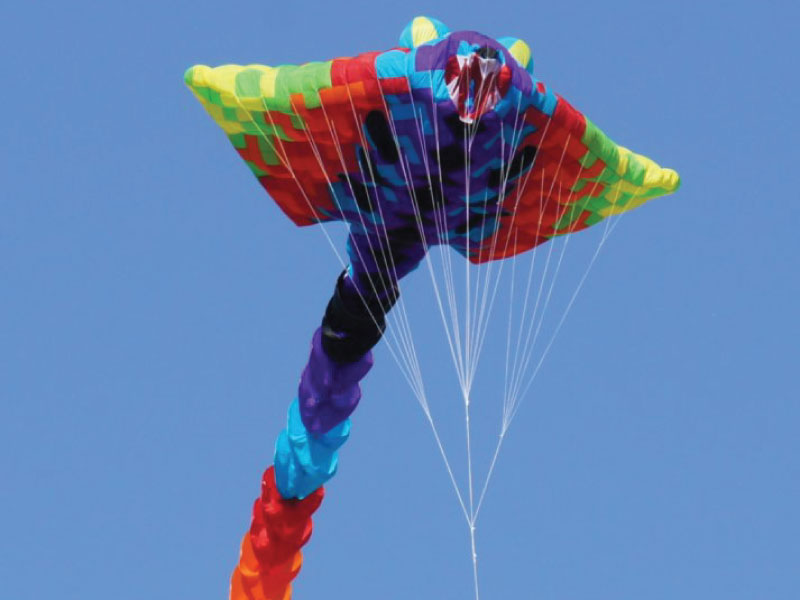 Detail Image Of A Kite Nomer 37