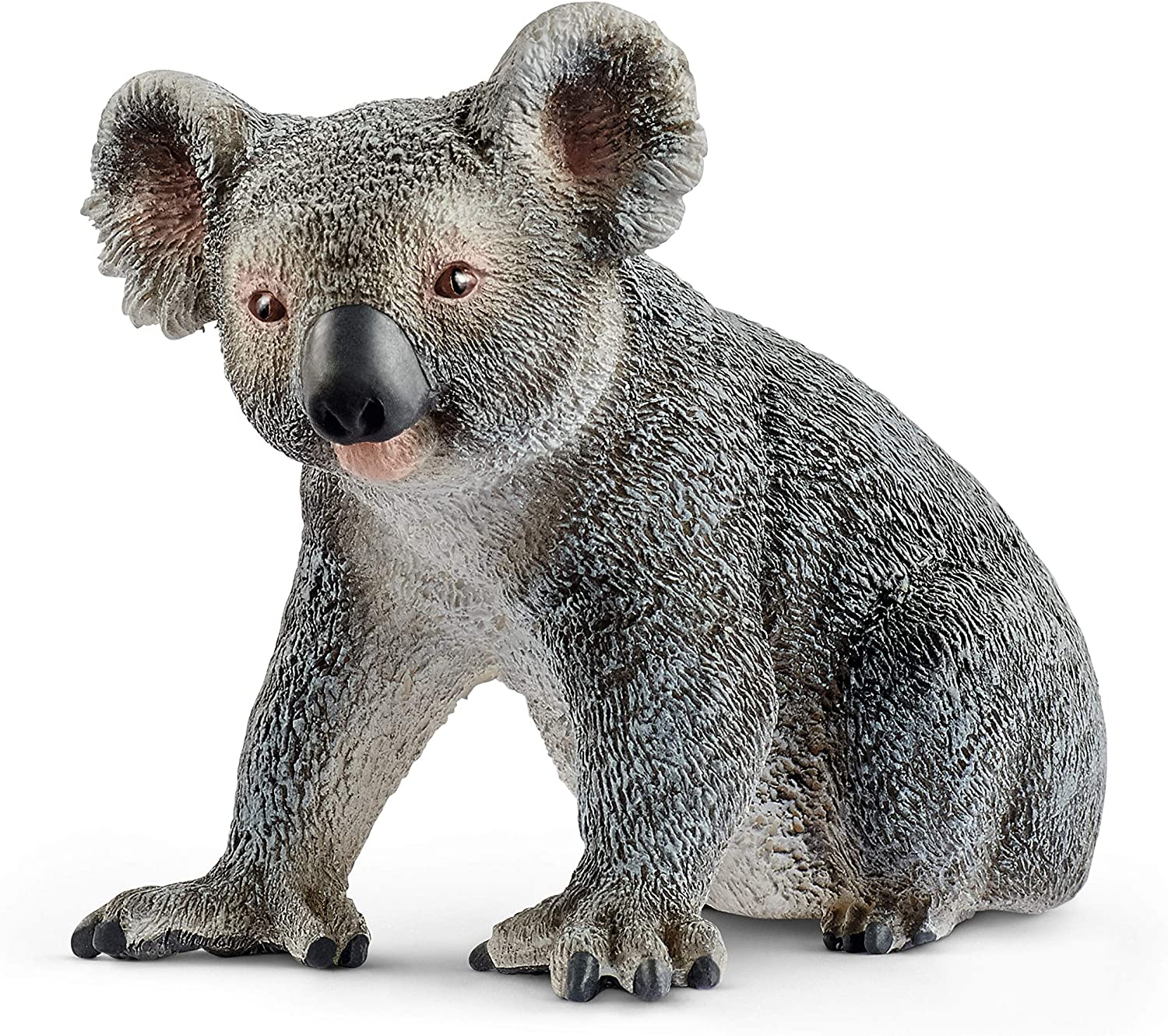 Detail Image Of A Koala Bear Nomer 14