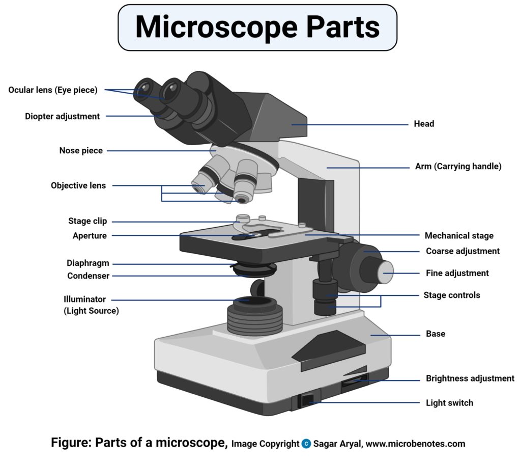 Image Of A Microscope - KibrisPDR