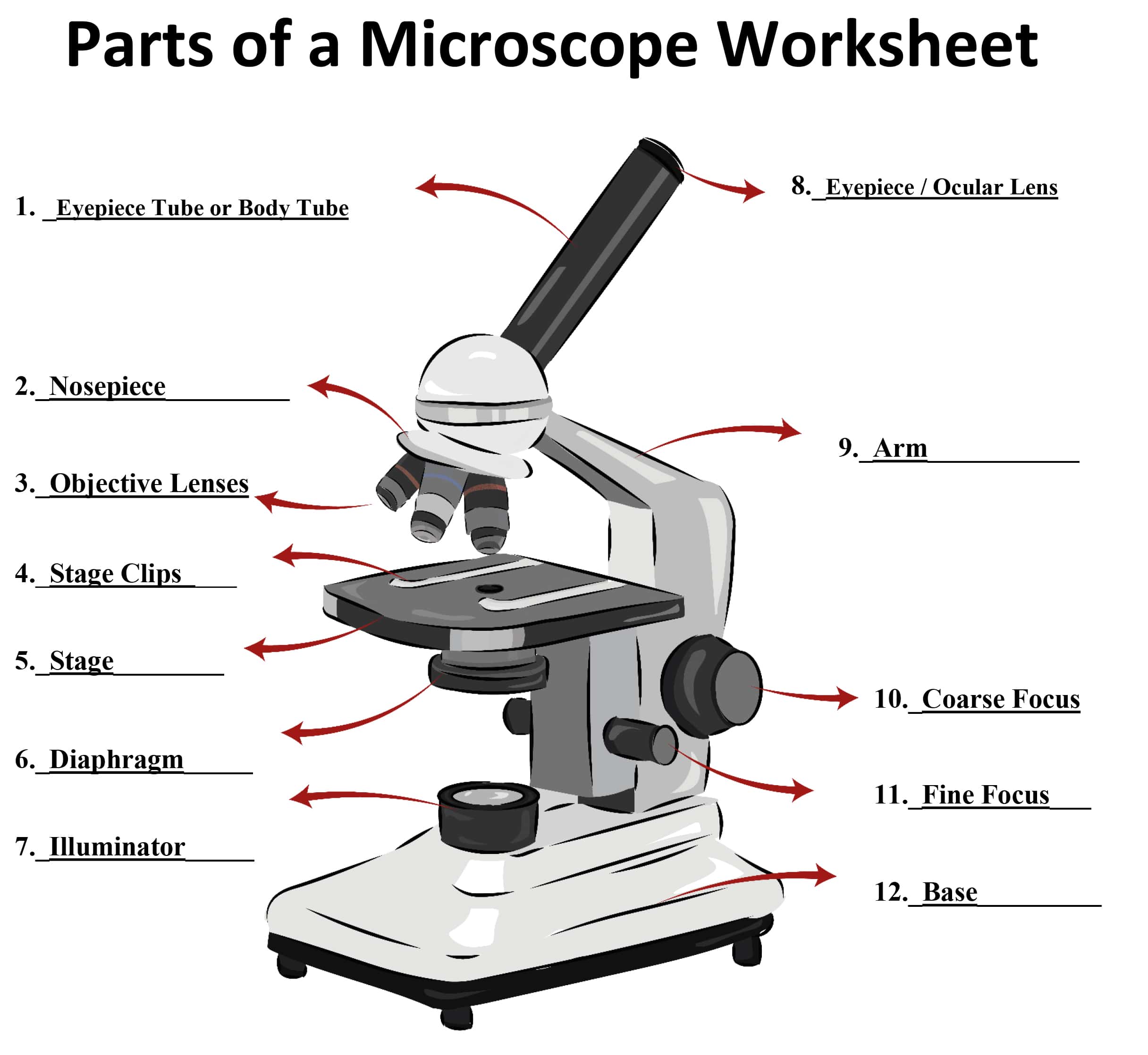 Detail Image Of A Microscope Nomer 2