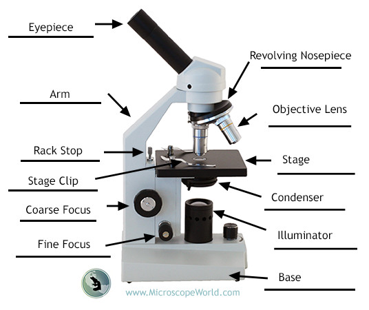 Detail Image Of A Microscope Nomer 11