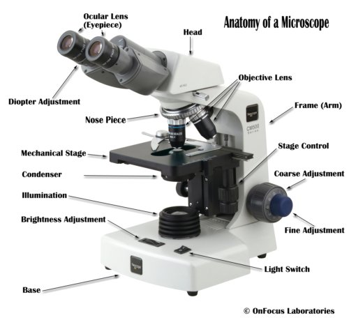 Detail Image Of A Microscope Nomer 17