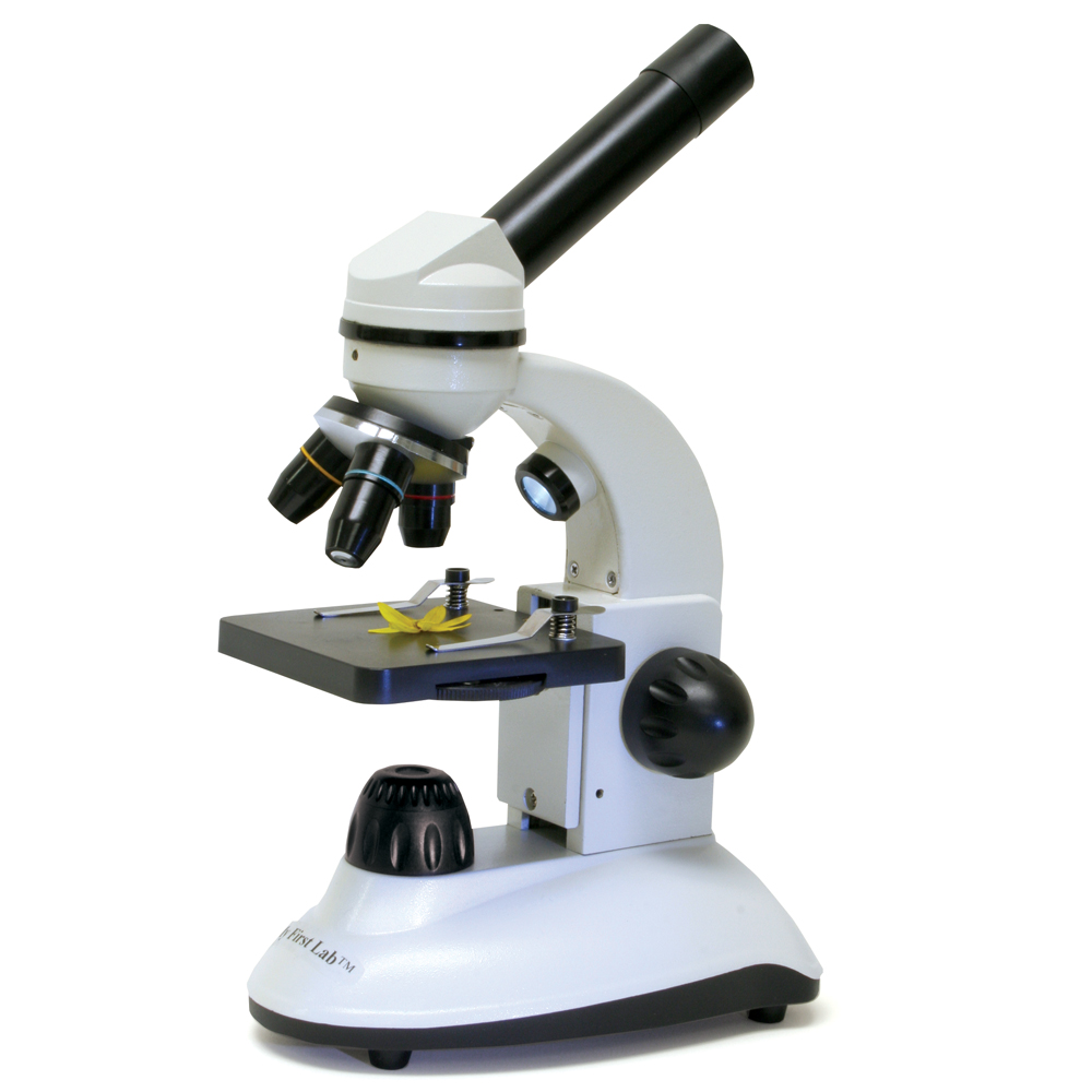 Detail Image Of A Microscope Nomer 18