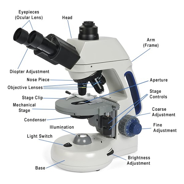 Detail Image Of A Microscope Nomer 3