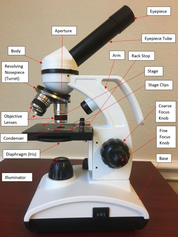 Detail Image Of A Microscope Nomer 22