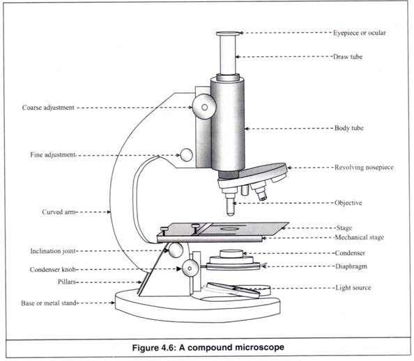 Detail Image Of A Microscope Nomer 24