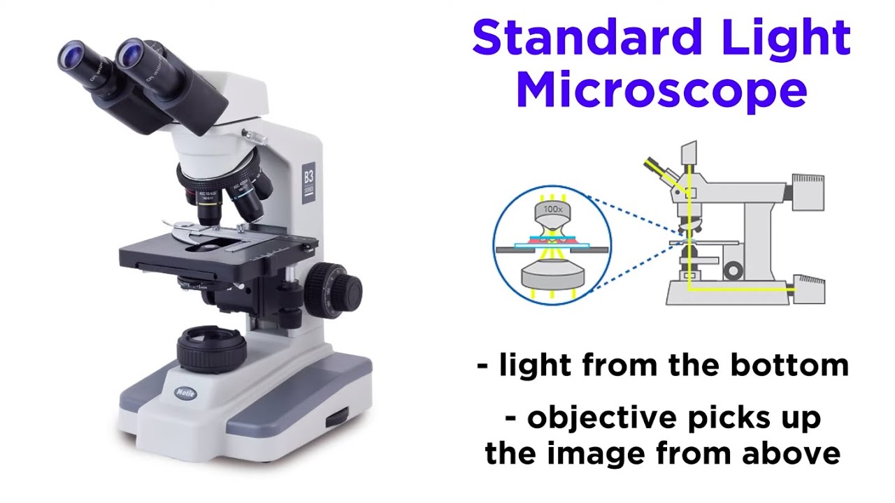 Detail Image Of A Microscope Nomer 26