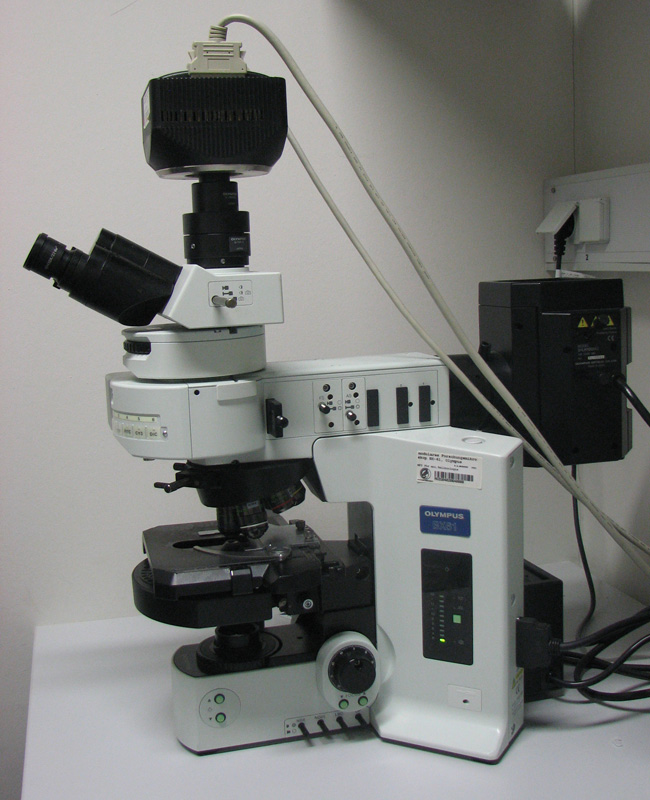 Detail Image Of A Microscope Nomer 28