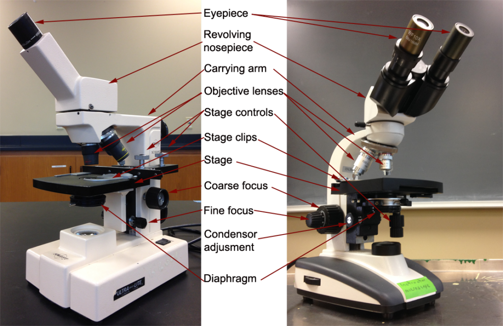 Detail Image Of A Microscope Nomer 30