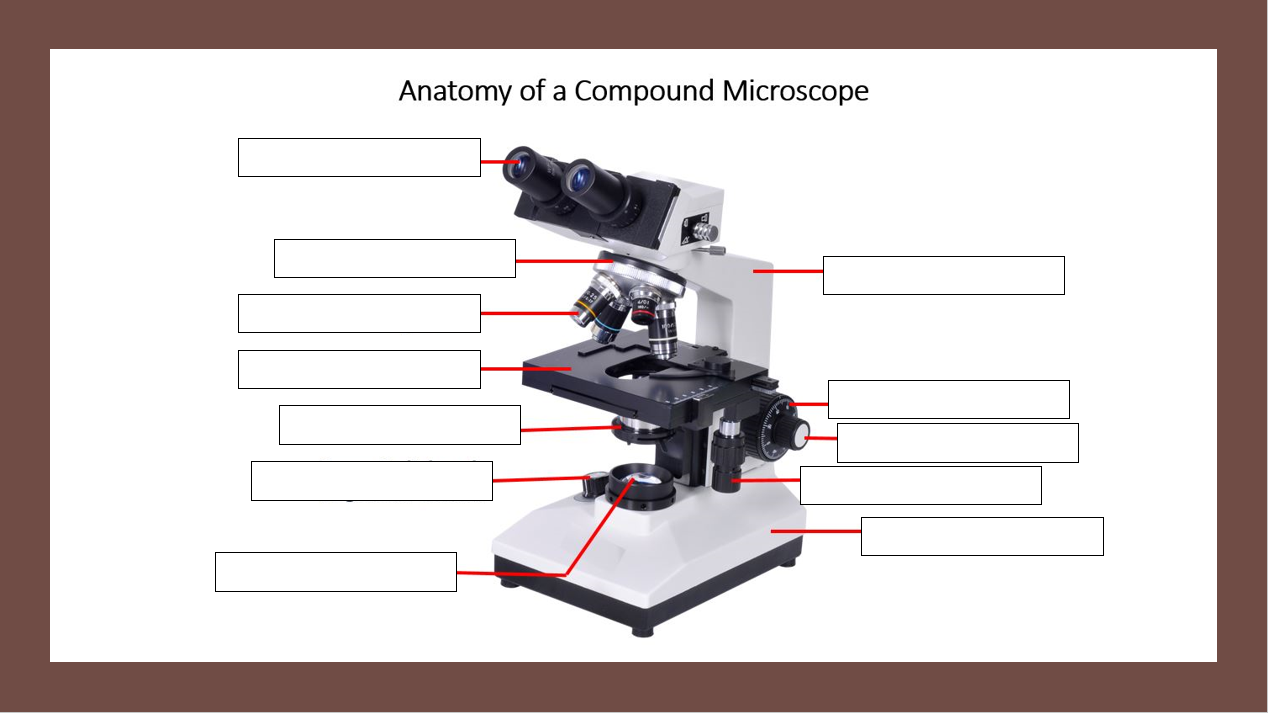 Detail Image Of A Microscope Nomer 31