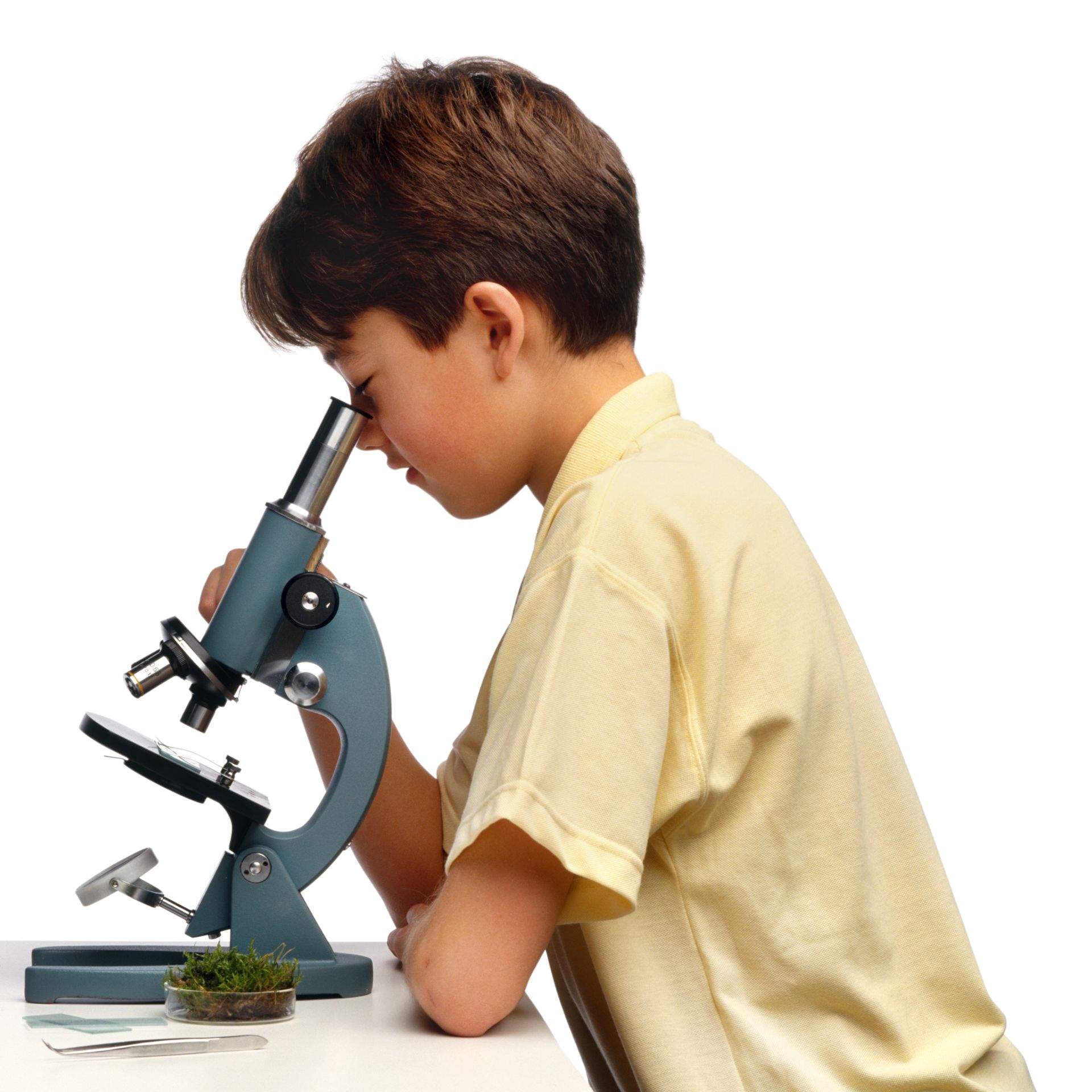 Detail Image Of A Microscope Nomer 32