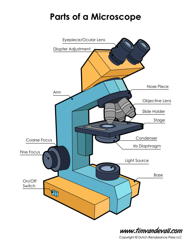 Detail Image Of A Microscope Nomer 33
