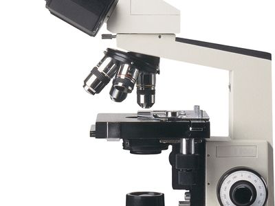 Detail Image Of A Microscope Nomer 34