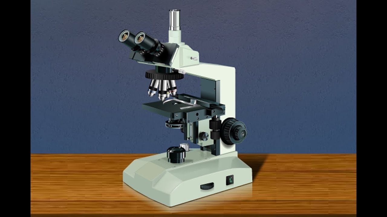 Detail Image Of A Microscope Nomer 35