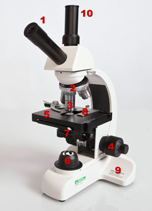 Detail Image Of A Microscope Nomer 37