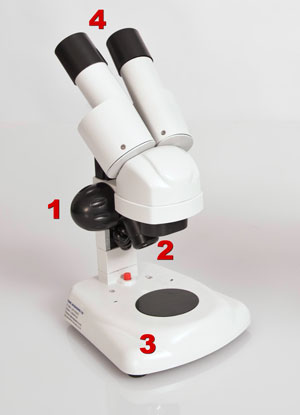 Detail Image Of A Microscope Nomer 38