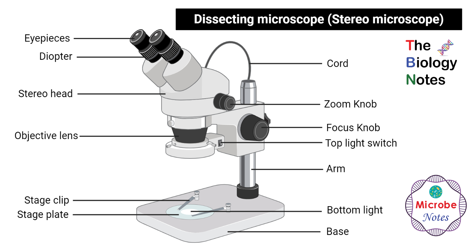 Detail Image Of A Microscope Nomer 46