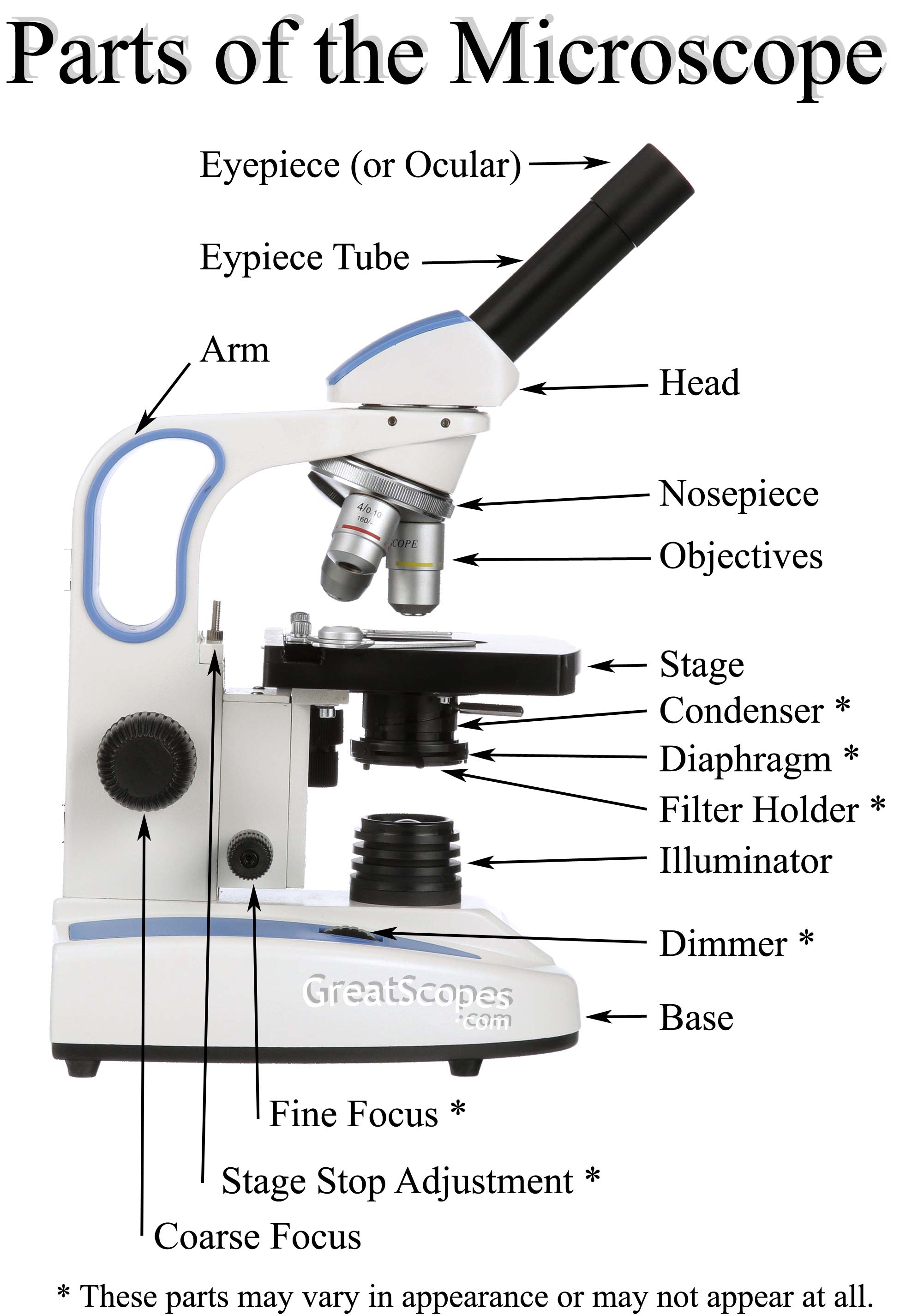Detail Image Of A Microscope Nomer 6