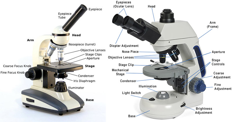 Detail Image Of A Microscope Nomer 49