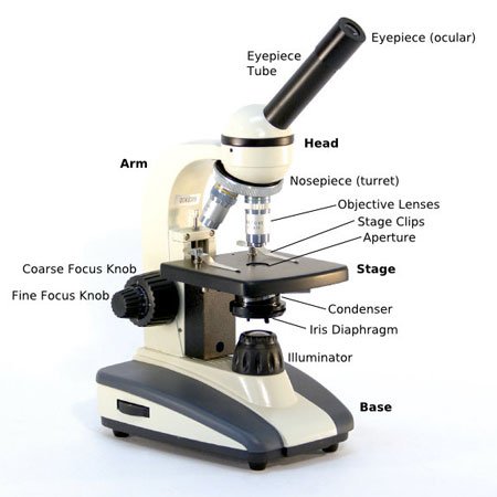 Detail Image Of A Microscope Nomer 50