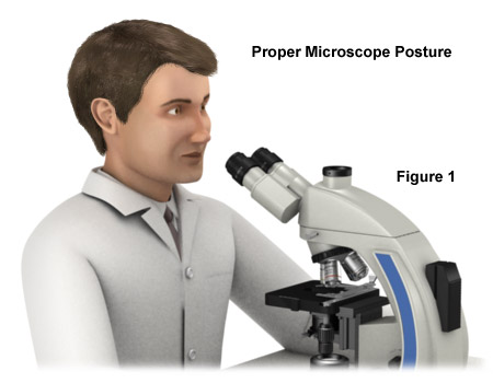 Detail Image Of A Microscope Nomer 51