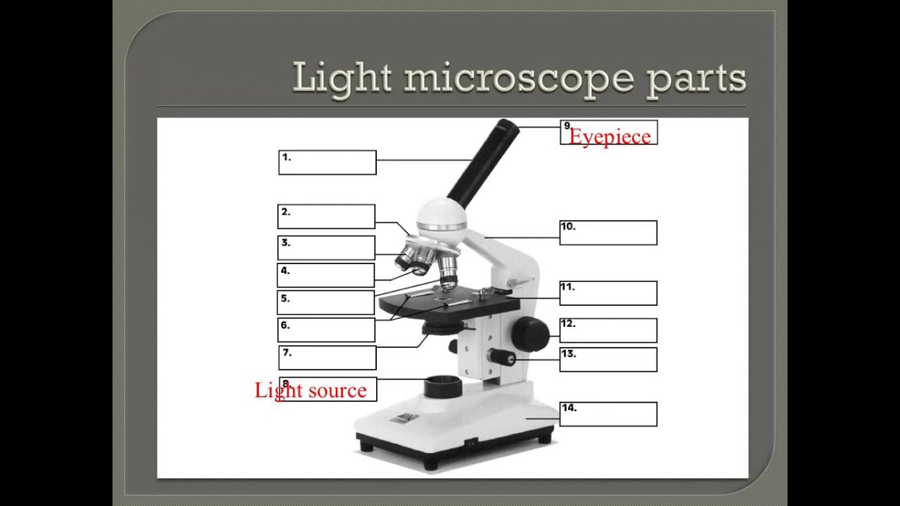 Detail Image Of A Microscope Nomer 52