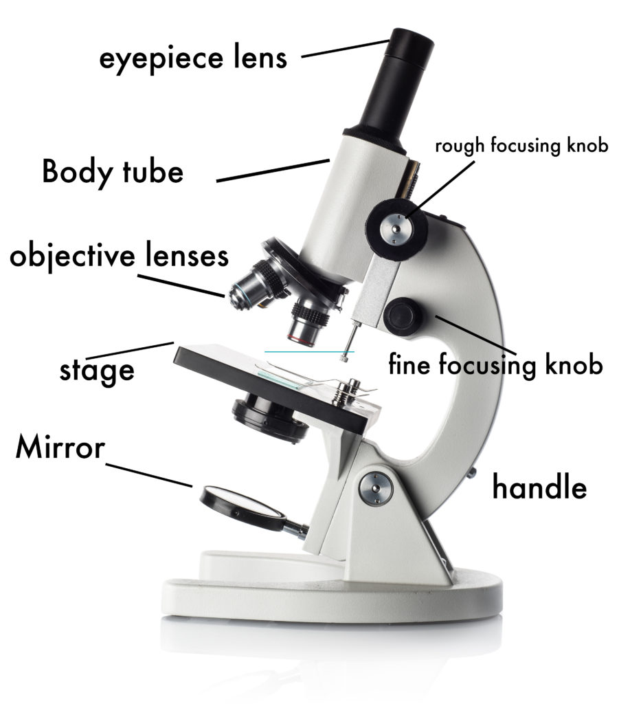 Detail Image Of A Microscope Nomer 7