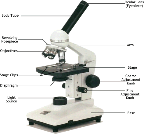 Detail Image Of A Microscope Nomer 8