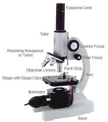 Detail Image Of A Microscope Nomer 9