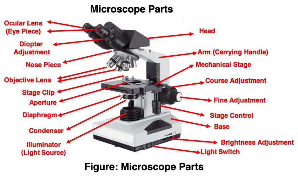 Detail Image Of A Microscope Nomer 10