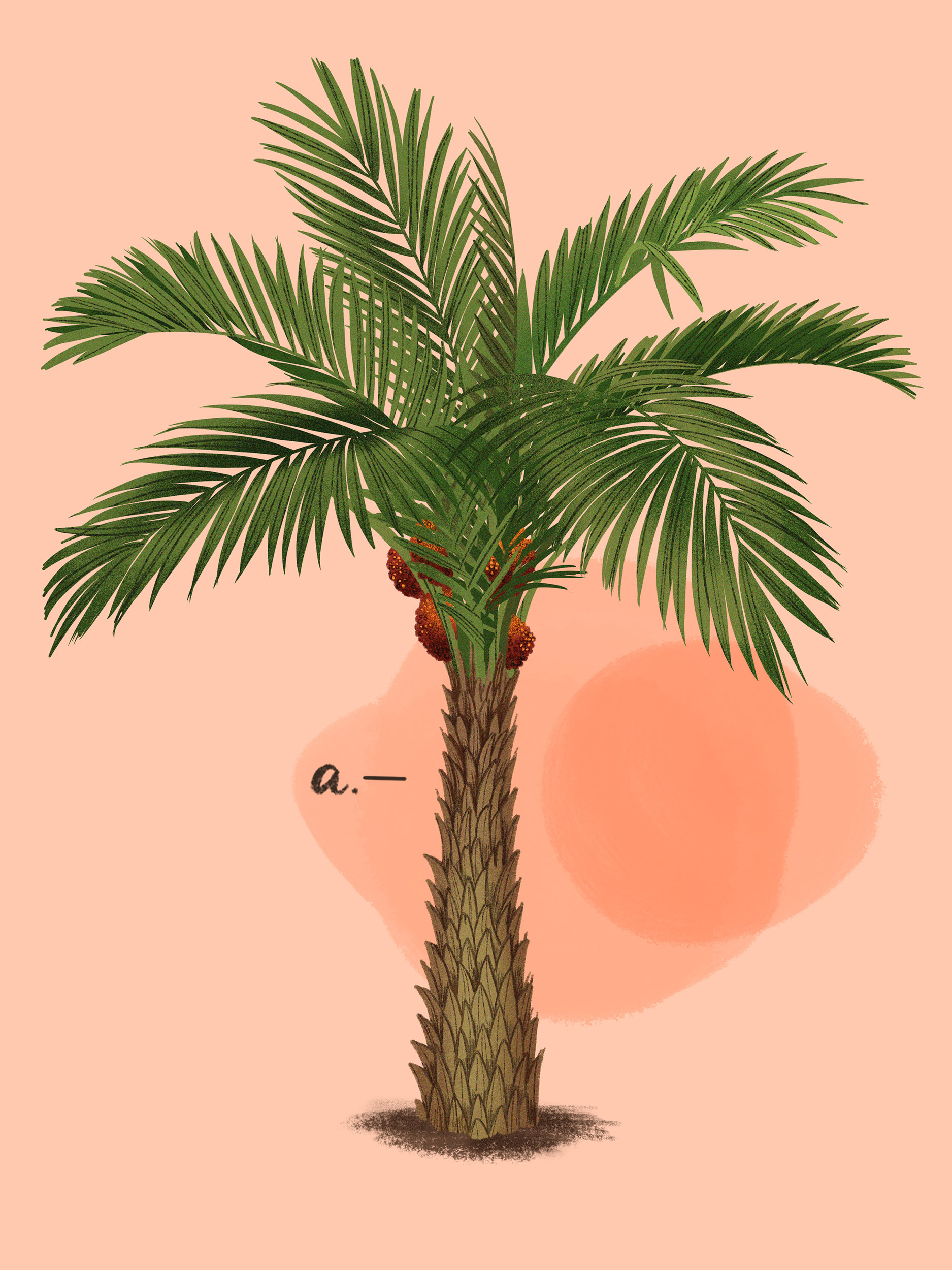 Detail Image Of A Palm Tree Nomer 12