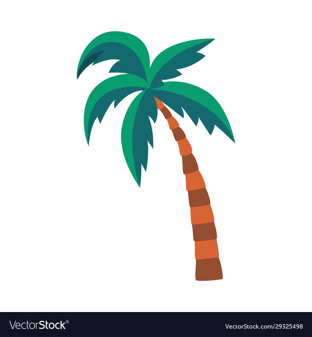 Detail Image Of A Palm Tree Nomer 22