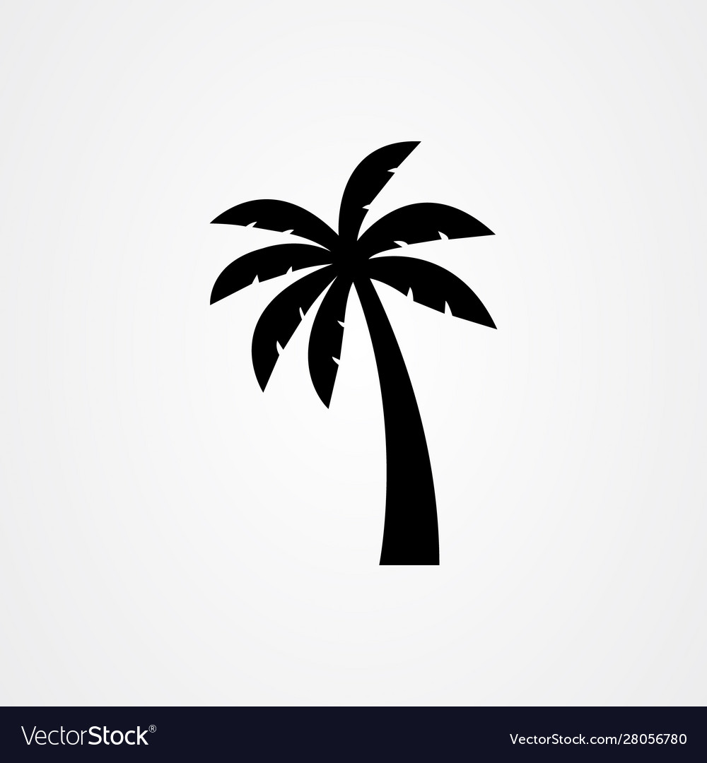 Detail Image Of A Palm Tree Nomer 48