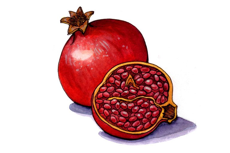 Detail Image Of A Pomegranate Nomer 37
