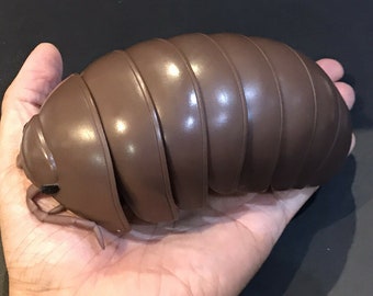 Detail Image Of A Potato Bug Nomer 18