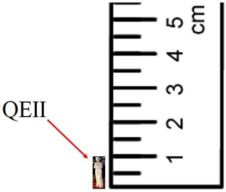 Detail Image Of A Ruler In Cm Nomer 53