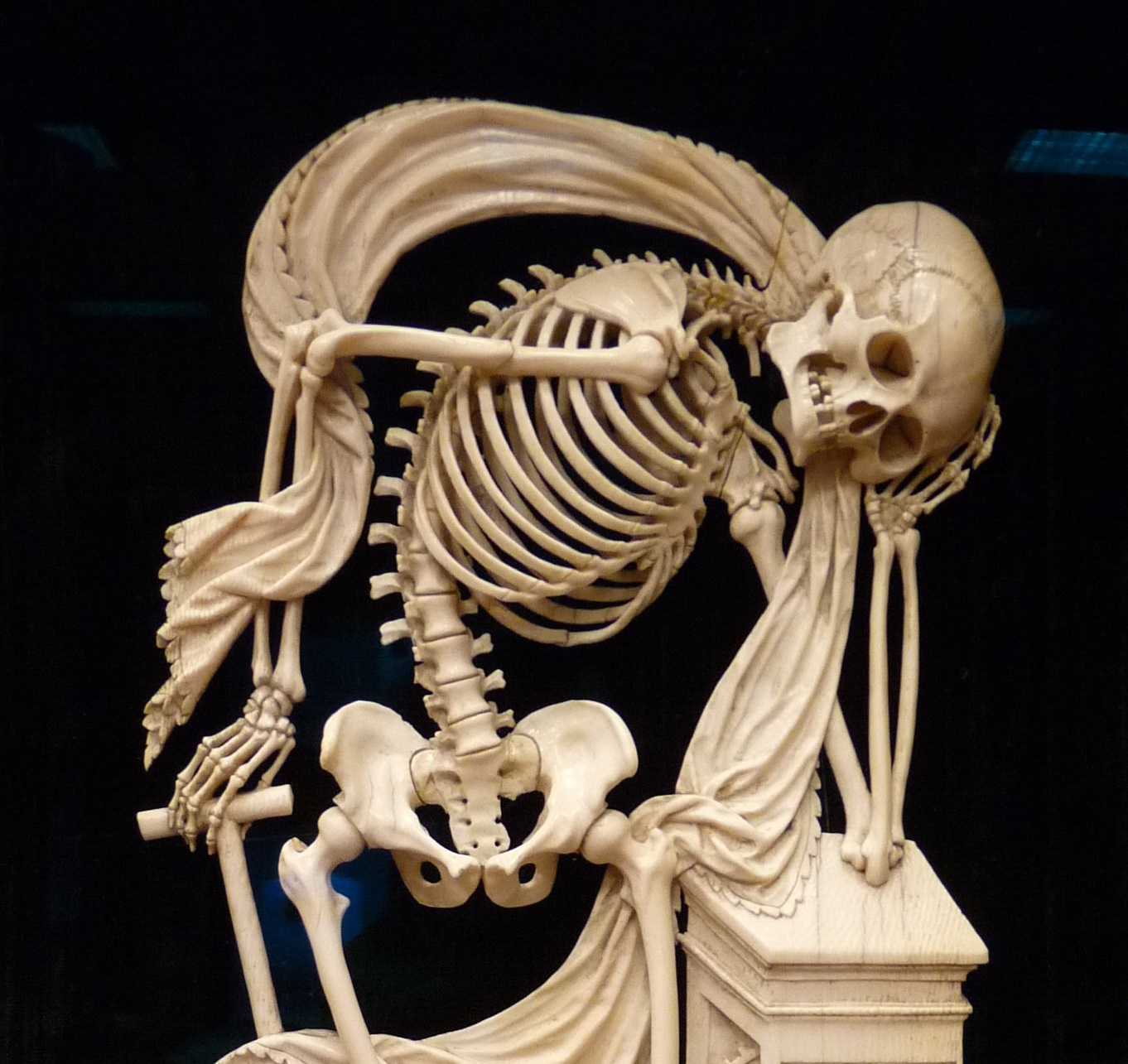 Detail Image Of A Skeleton Nomer 20