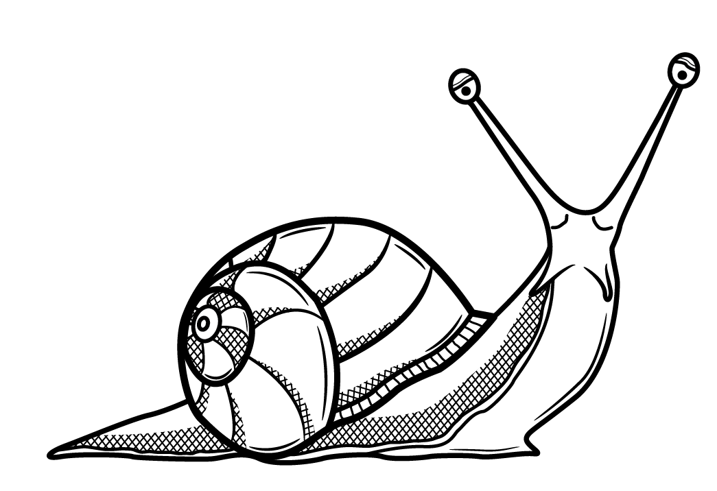 Detail Image Of A Snail Nomer 33