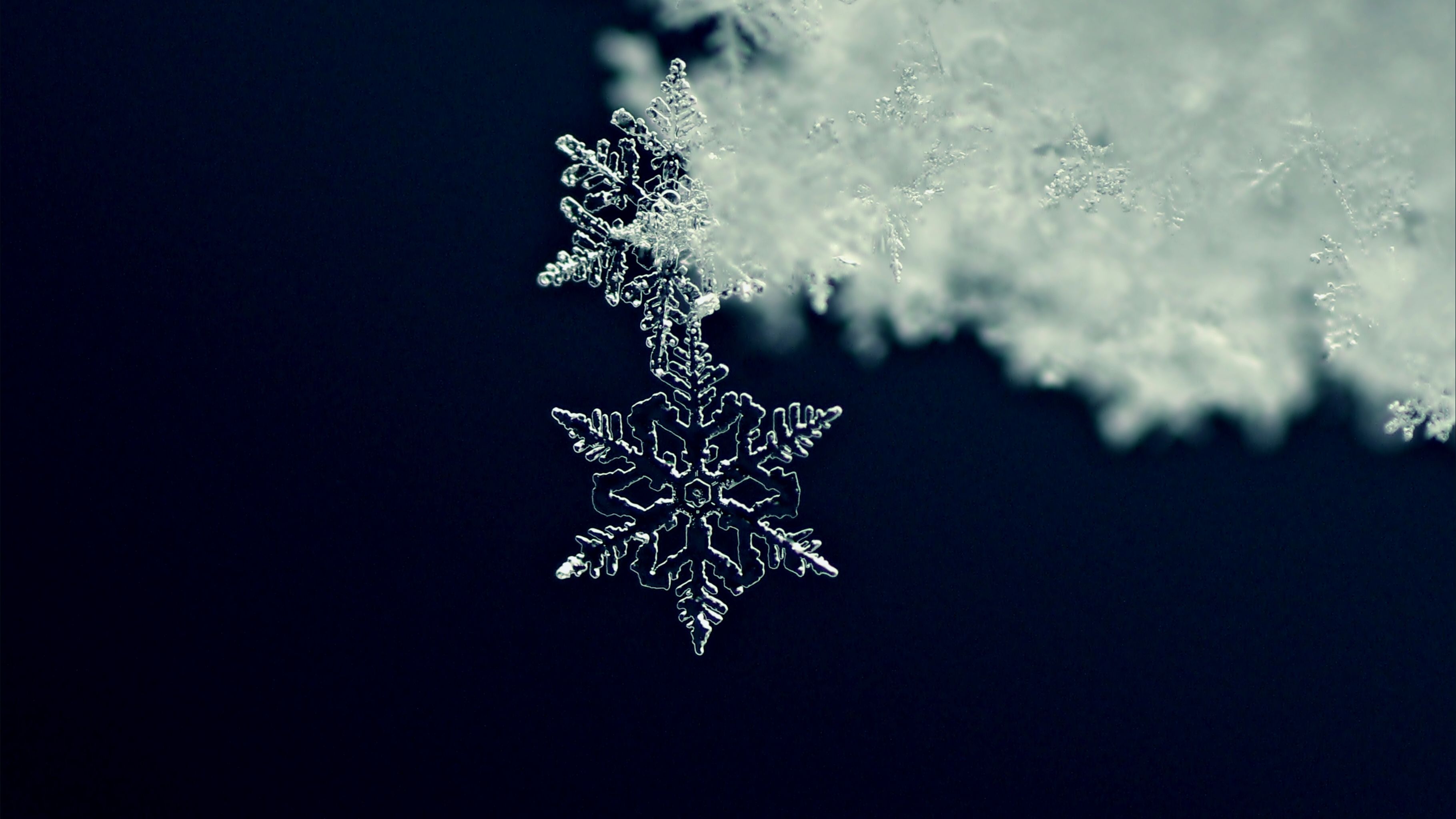 Detail Image Of A Snowflake Nomer 17