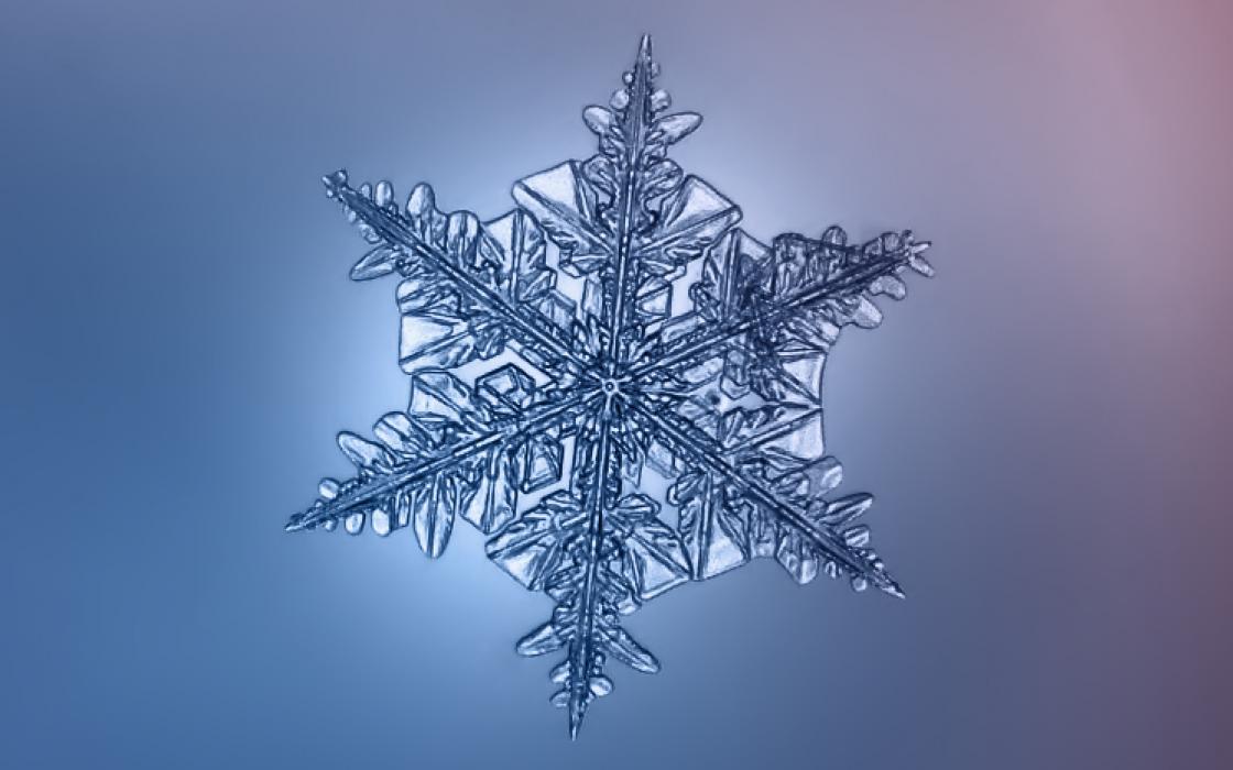 Detail Image Of A Snowflake Nomer 20